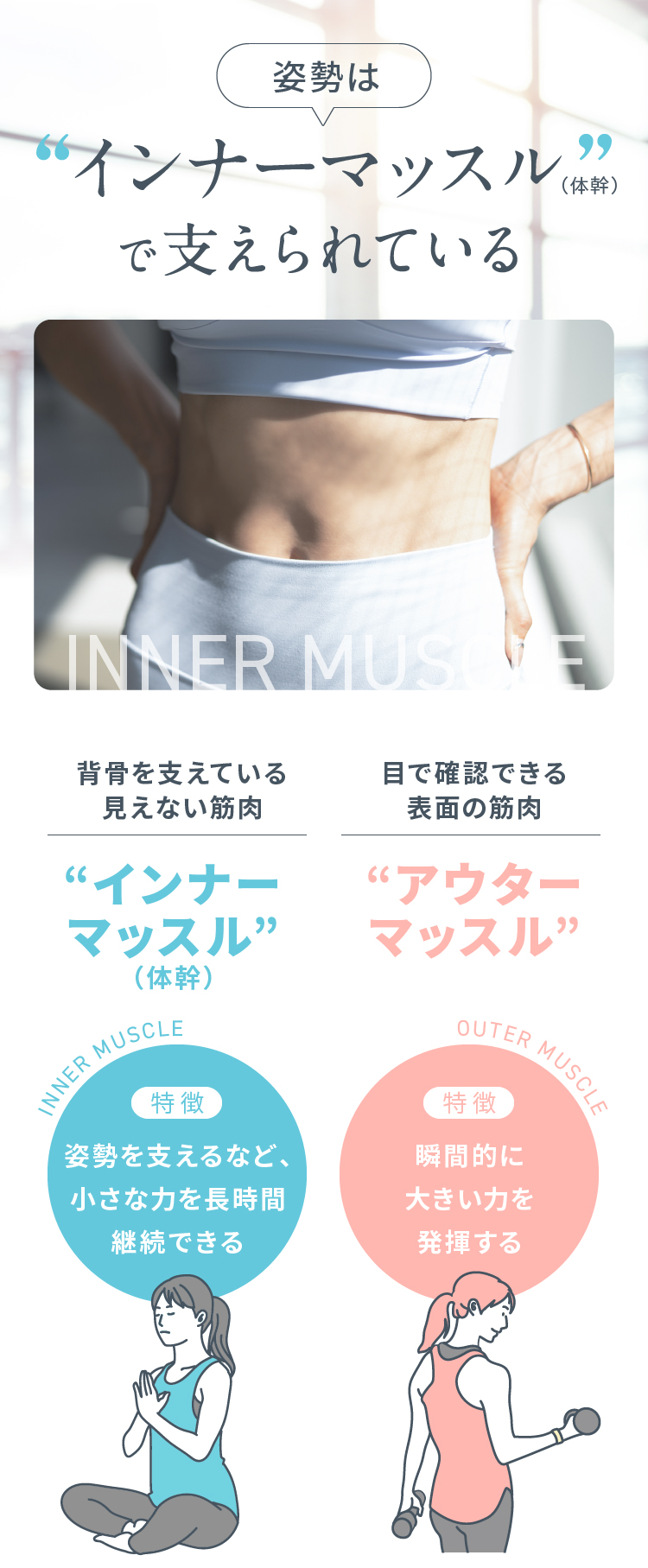 姿勢はインナーマッスルで支えられている
